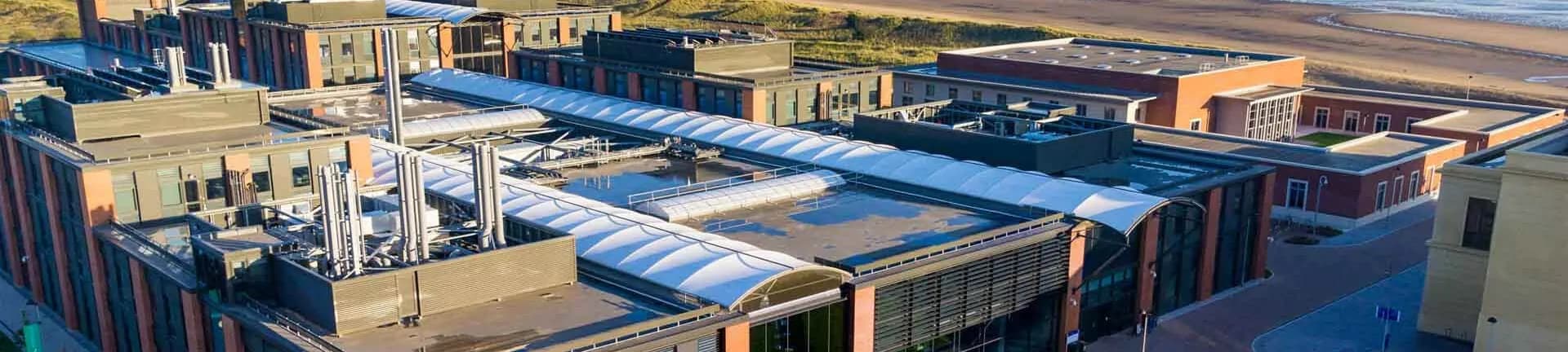 What It’s Like to Study at Swansea University