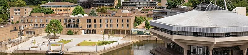 Why do international students love the University of York?