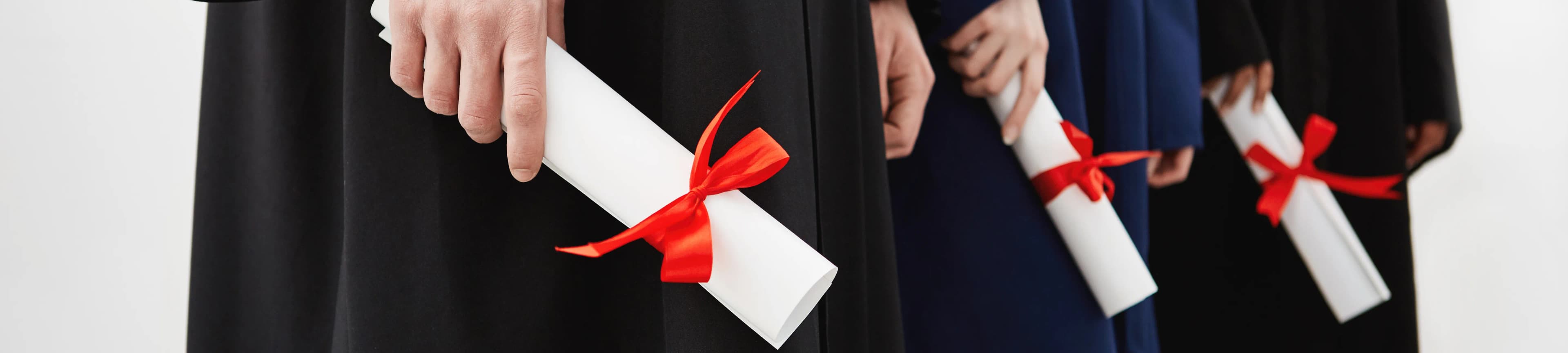 What Is a Joint Honours Degree and Who Is It For?
