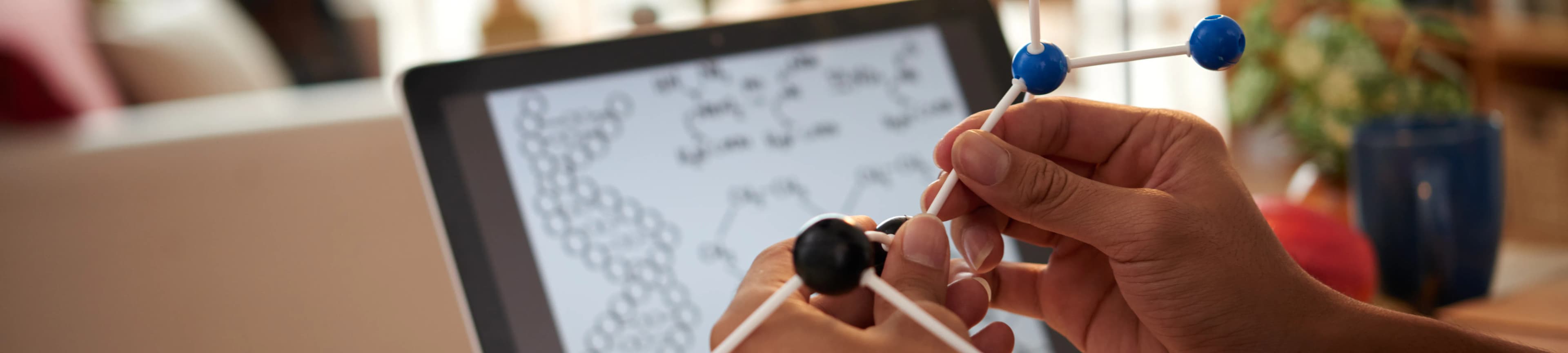Studying Physics at the University of Leicester: An International Student Experience